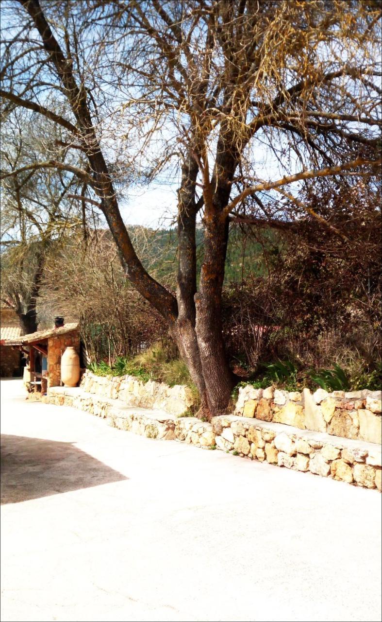Picos Del Oso *