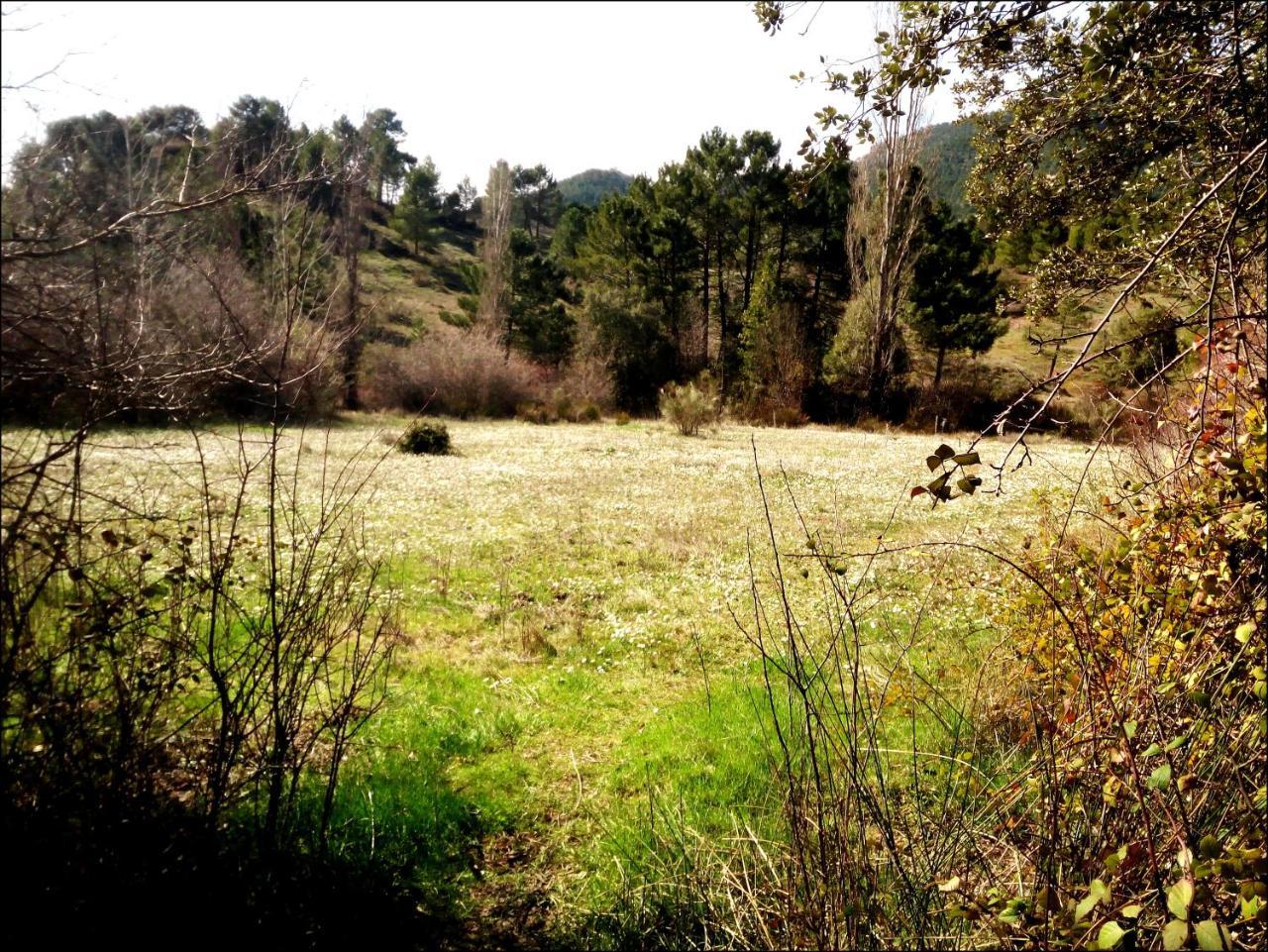 Picos Del Oso Séjour à la campagne Riópar
