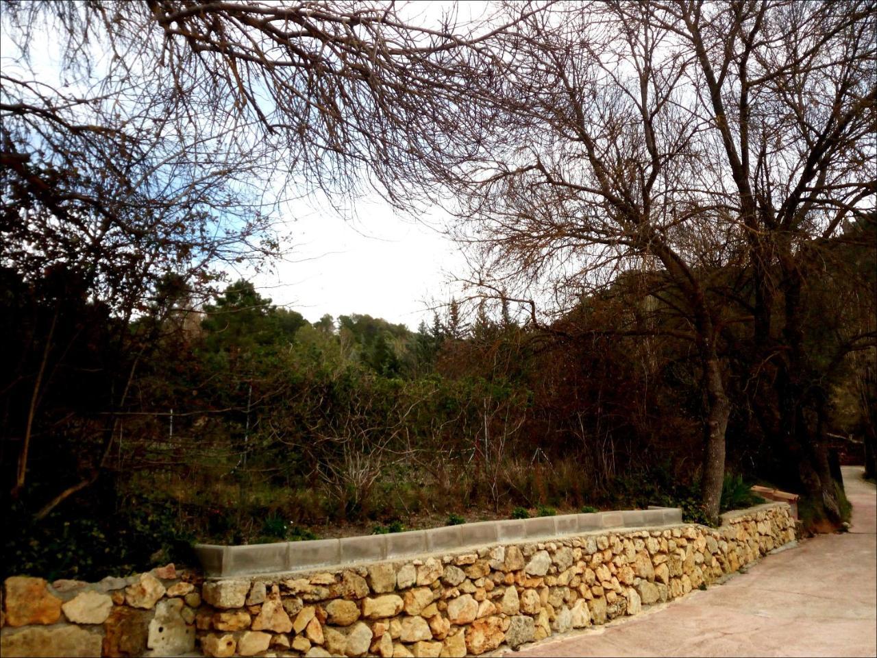 Picos Del Oso