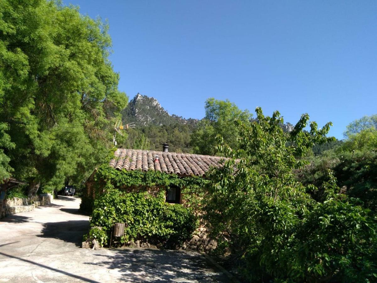 Séjour à la campagne Picos Del Oso
